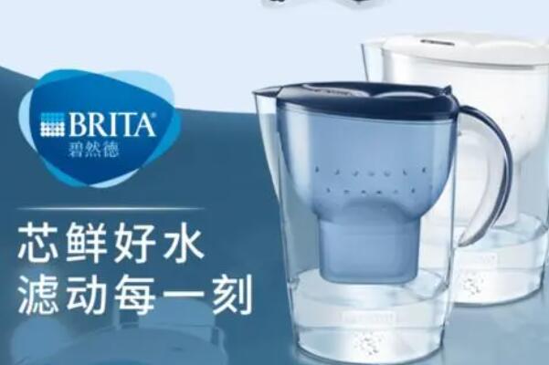 6t体育净水器十大知名品牌中国上榜5家企业第二最受消费者青睐(史密斯(图6)